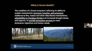 "Integrating Landscape Restoration, Climate Adaptation and Wildlife Management in Western Forests"