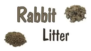 Rabbit Litter