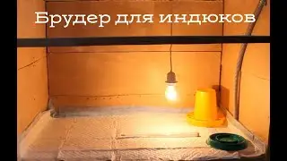 Брудер для будущих индюков. Хайбрид конвертер на подходе