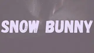 NBA Youngboy - Snow Bunny (Lyrics)