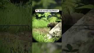 Far Cry 3 Old Mines Stealth
