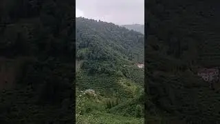 yorumsuz