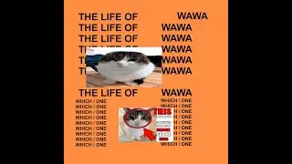The Life of Wawa