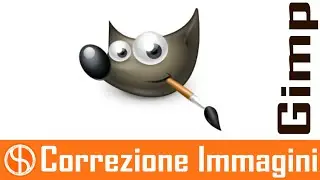 Correggere e ritoccare le immagini raster con Gimp