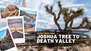Scenic Drive from Joshua Tree to Death Valley 4K