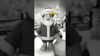 😂😂😂😂😂