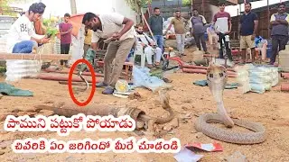 పాముని పట్టుకుపోయాడు చివరికి ఏం జరిగిందో మీరే చూడండి. #Indian #spectacled venomous cobra snake