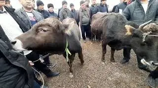 Chust Mol Bozori ЧУСТ Мол Бозор Новое видео
