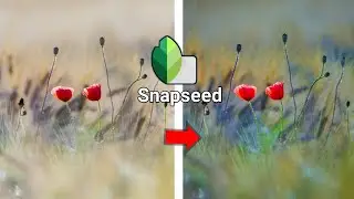 Photo Editing Mobile | Snapseed Editing | Mobile Photo Editing | MS Edits