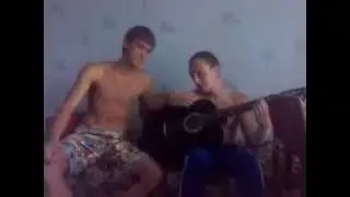 Белые розы