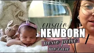 Vlog: Ensaio NEWBORN + nosso PEIXE MORREU | Larissa Hennydth