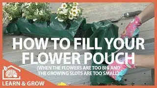 How to Fill Your Flower Pouch - Learn & Grow