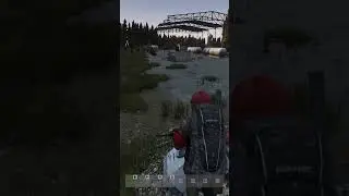 Ну там без шансов на выживание  #dayz
