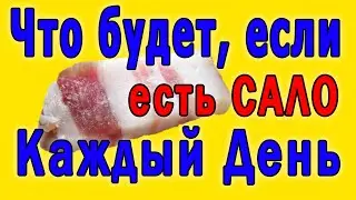 What Will Happen To Your Body If You Eat Lard Every Day 👍 Is Lard Harmful Or Useful