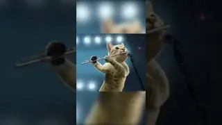 My Favorite Band