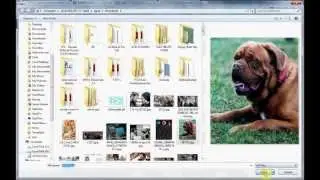 Creating Facebook Account (from Scratch )