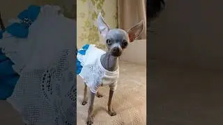 почему Рубина грустит?