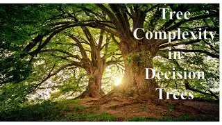 Tree Complexity of Decision Tree