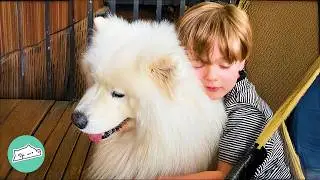 Goofy Samoyed And His Human Bro Prank Mom Every Day | Cuddle Buddies