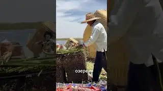 A Village Floating on Water: The Amazing Life of the Uros People on Lake Titicaca