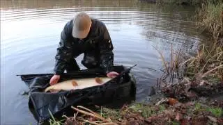 Big pike release