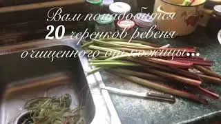 Варенье из ревеня с клубникой