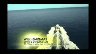 Trailer NGW Wild Enigmas