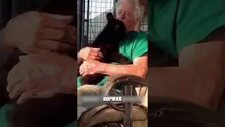 Медведица приносит к дому жирную РЫБУ 🐻🐟😱