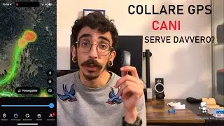 COLLARE GPS PER CANI TRACTIVE | Recensione Completa