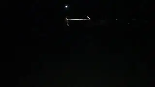 Dog Does a Late Night ZOOOOOOOOOOOOOM