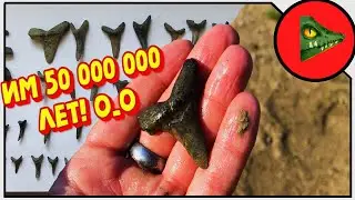 50 000 000 ЛЕТ! Зубы акул!
