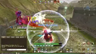 Toram Barehand DPS: Black Shadow Ulti