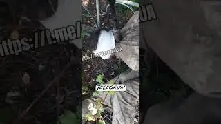Плененый украинский военный #полон #пленные #плен #пленный #полонені #полонений