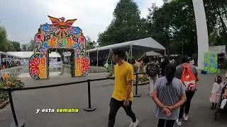 Paseo por la feria de las flores de San Ángel #mexico #travel #patines #ciudaddemexico