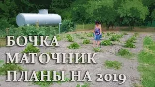 КЛУБНИКА: ПЛАНЫ/МАТОЧНИК/РАССАДА/БОЧКА