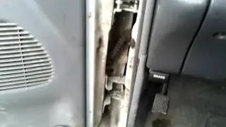 Rammy 5.9L V8