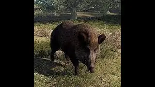 Баганый кабан в RUST (неконтримая хрень)