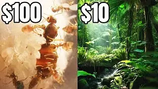 $100 Pet Ants Get $10 Home