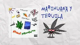 10.- Marihuana Y Tequila🍾 - Bipo Montana & Robot