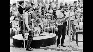 The Leaves - Dead Time Bummer Blues