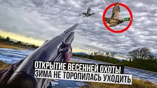 ОХОТА НА СЕЛЕЗНЯ БЕЗ ПОДСАДНОЙ. ОТКРЫТИЕ ВЕСЕННЕЙ ОХОТЫ.