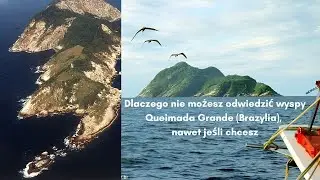 Dlaczego nie możesz odwiedzić wyspy Queimada Grande (Brazylia), nawet jeśli chcesz
