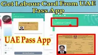 How to Get labour Card using UAE Pass|how to get labour card|Mohre|