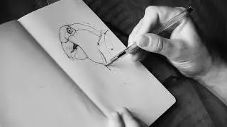 10 Tips for Drawing Animals for Beginners