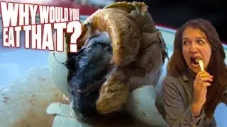 Fertilized Eggs aka Balut - Why Would You Eat That?