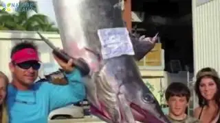 Top 5 Awesome fishing, caught big fish Excellent fishing