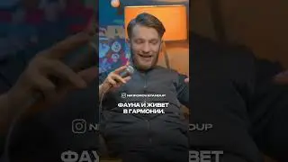 #стендап