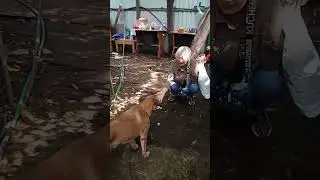 Пьер Безухов встречает гостей 🙏🏼