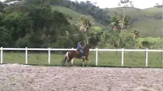 johnny&Intriga