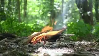 Видео Отзыв от гостя. Посещение Поселения Новый Мир. Мордовия. New World.